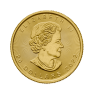 1/2 troy ounce gouden Maple Leaf munt - foto 2 - voorbeeld