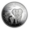 1 kilo zilveren munt Somalische Olifant - foto 1 - voorbeeld