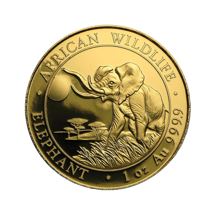 1 troy ounce gouden Somalische Olifant munt