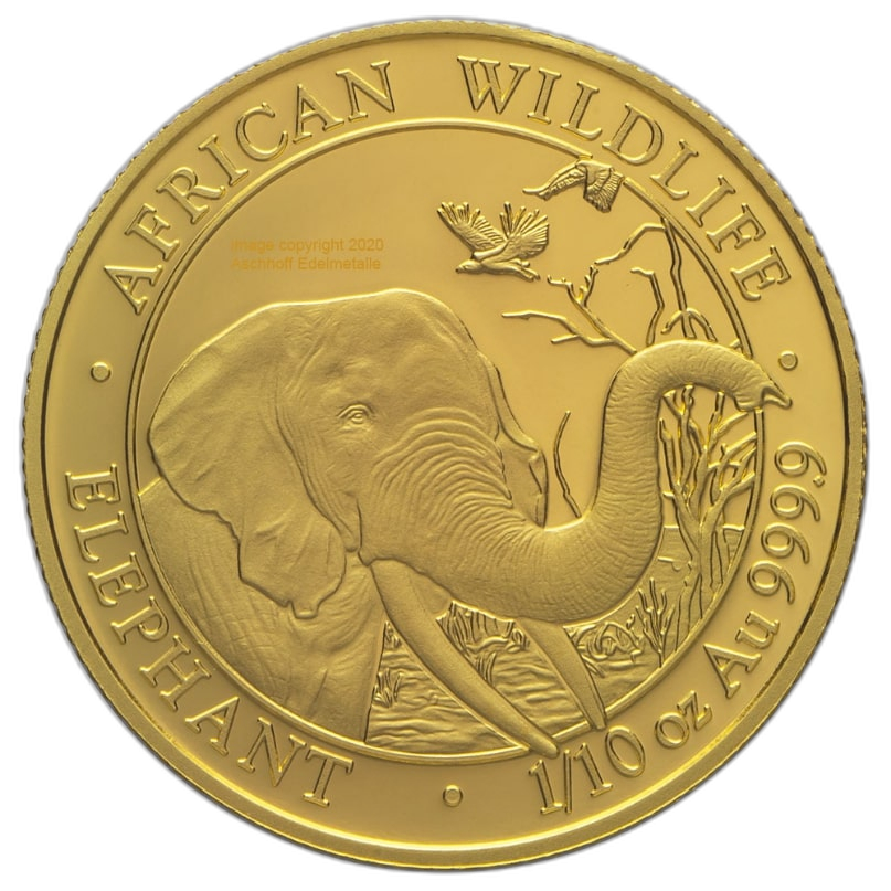 1/10 Troy ounce gouden munt Somalische Olifant